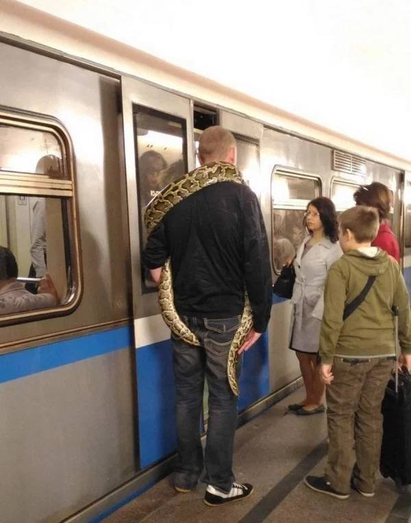 Strange People In The Subway (34 pics)