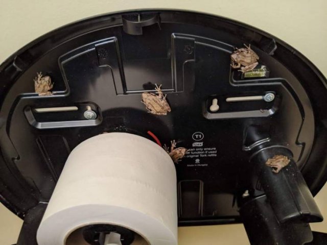 What Is Going On Here? (50 pics)