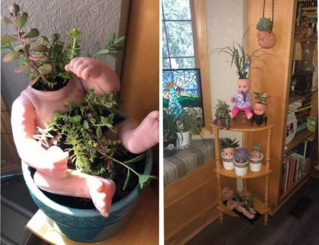What Is Going On Here? (50 pics)