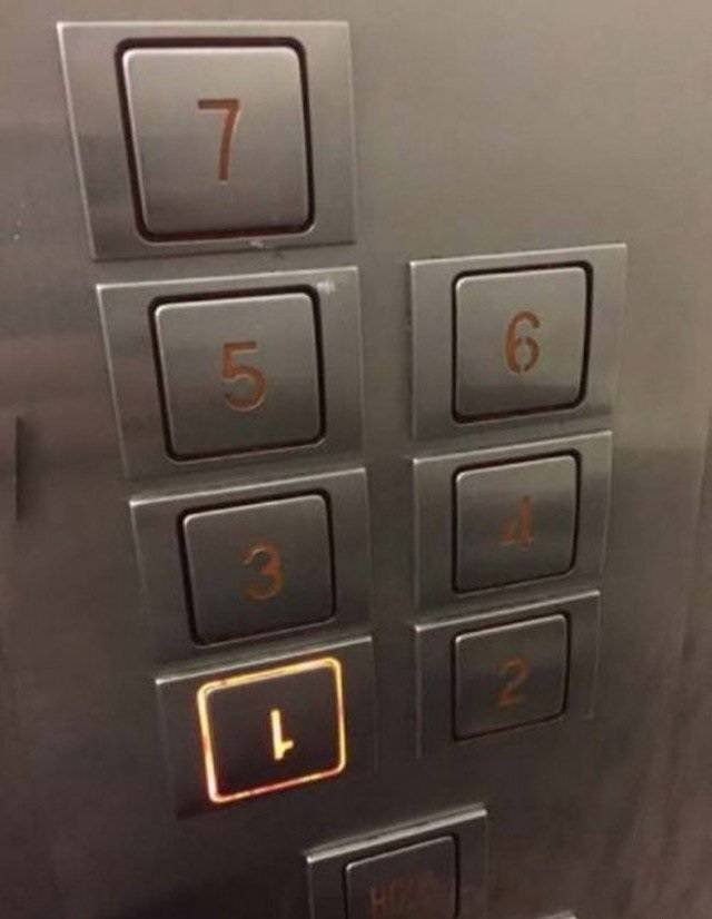 Weird Finds And Situations (47 pics)