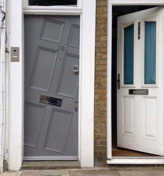 Weird Finds And Situations (47 pics)
