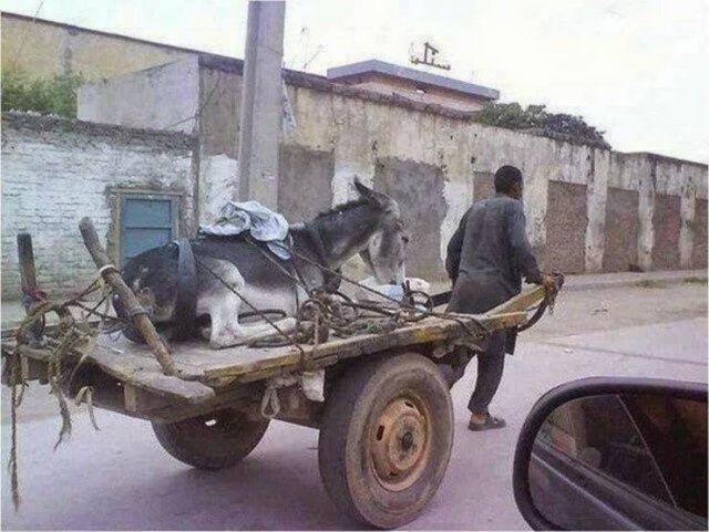 Weird Finds And Situations (47 pics)