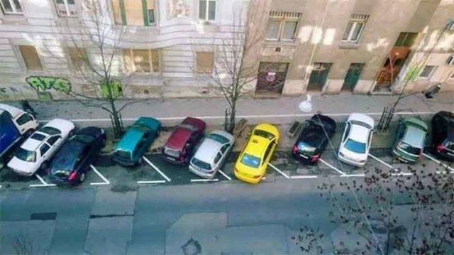 Weird Finds And Situations (47 pics)