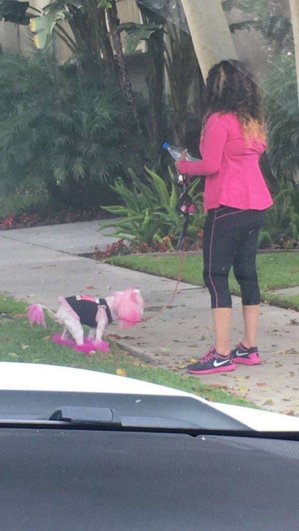 What Is Going On Here? (50 pics)