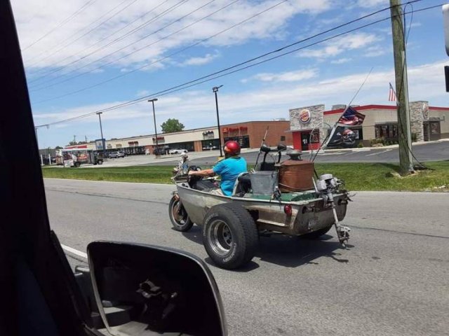 What Is Going On Here? (50 pics)