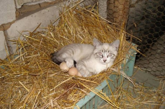 Weird Finds And Situations (47 pics)
