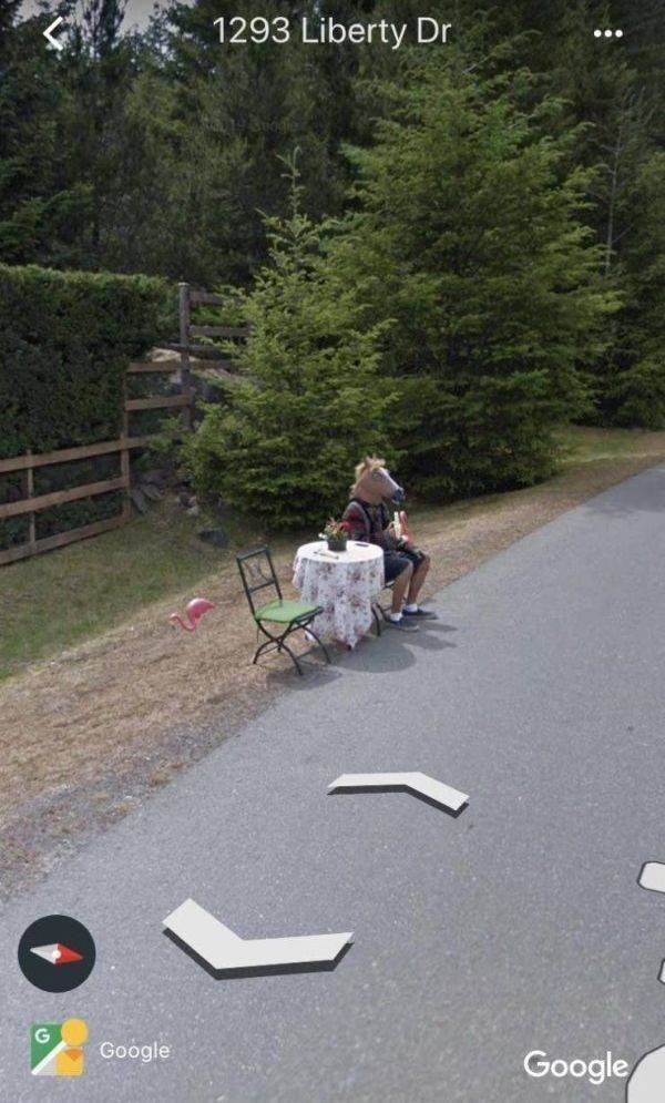 What Is Going On Here? (50 pics)