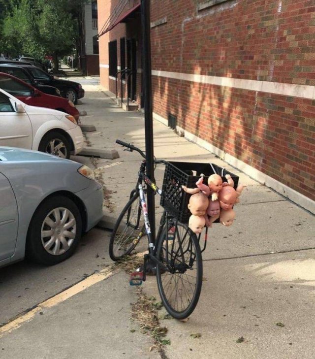 What Is Going On Here? (50 pics)