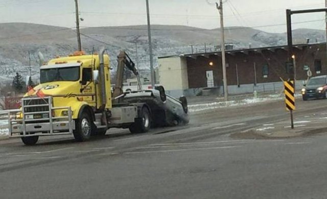Weird Finds And Situations (47 pics)