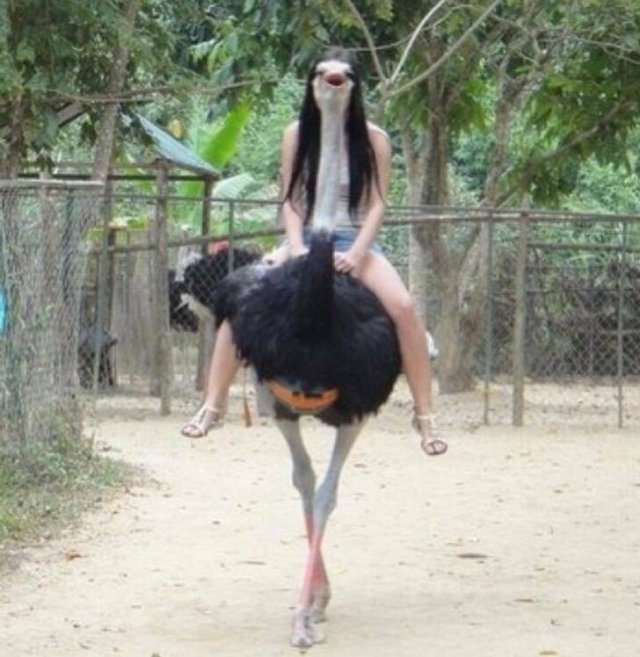 What Is Going On Here? (21 pics)