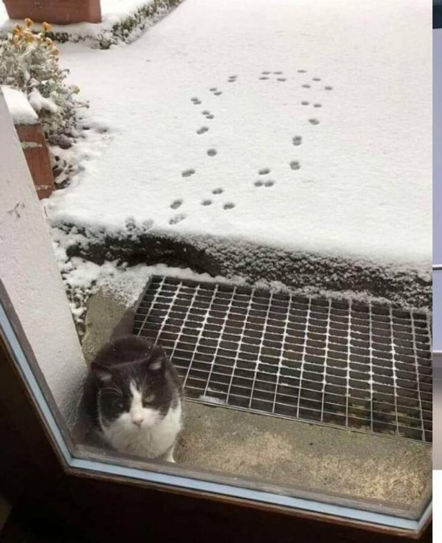 What Is Going On Here? (21 pics)