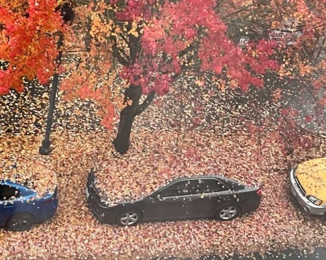 What Is Going On Here? (21 pics)