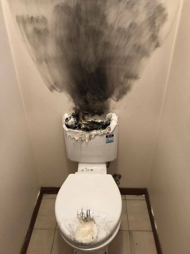 What Is Going On Here? (21 pics)