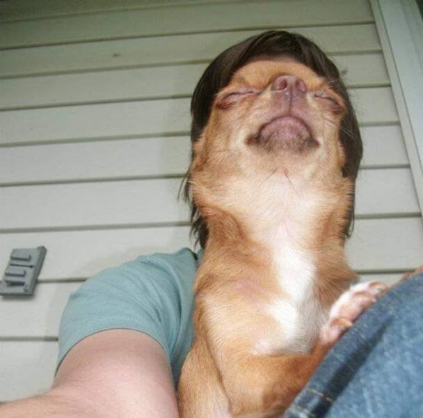 What Is Going On Here? (21 pics)