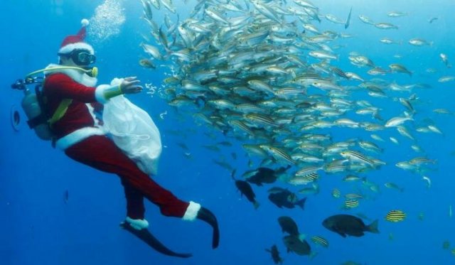 Amazing And Funny Christmas Pictures (70 pics)