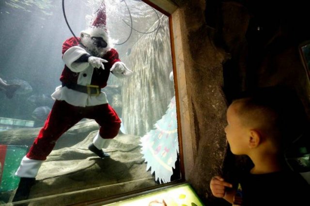 Amazing And Funny Christmas Pictures (70 pics)
