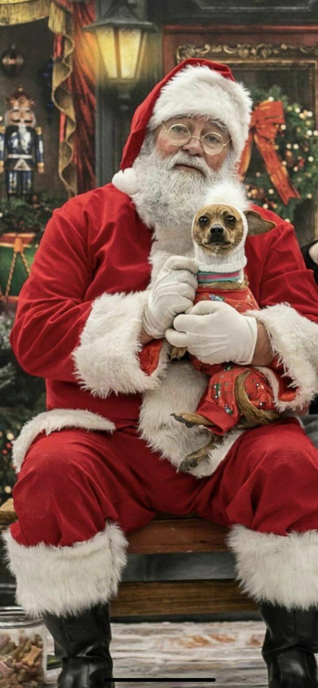 Amazing And Funny Christmas Pictures (70 pics)