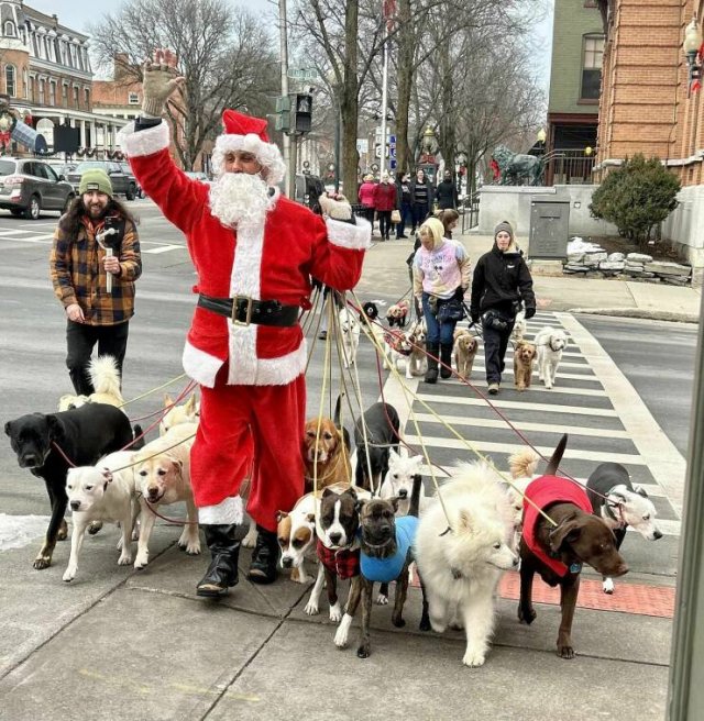 Amazing And Funny Christmas Pictures (70 pics)