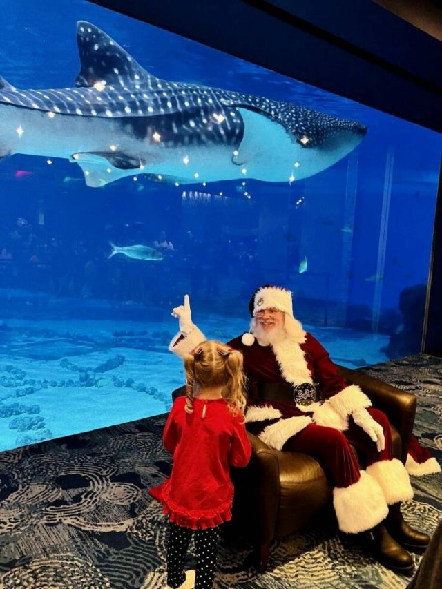Amazing And Funny Christmas Pictures (70 pics)