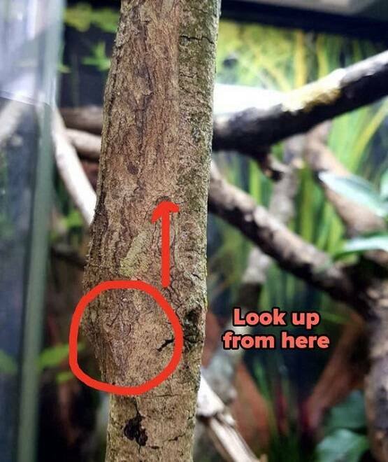 Photos For Perfectionists (35 pics)