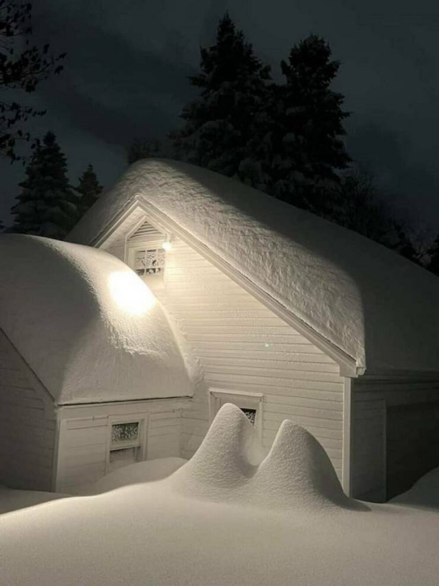 Photos For Perfectionists (35 pics)