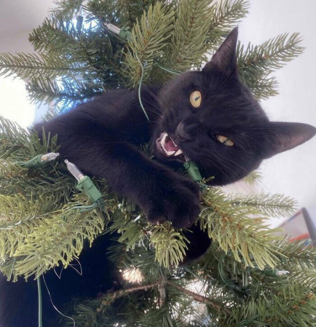 Bad Days Happen (40 pics)
