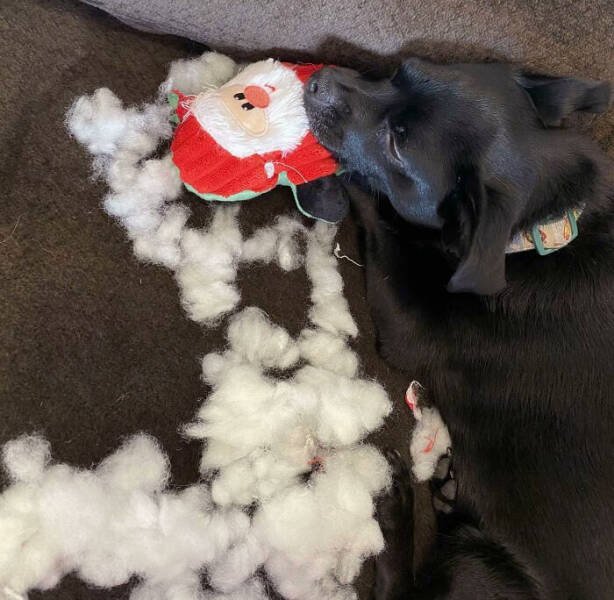 Bad Days Happen (40 pics)
