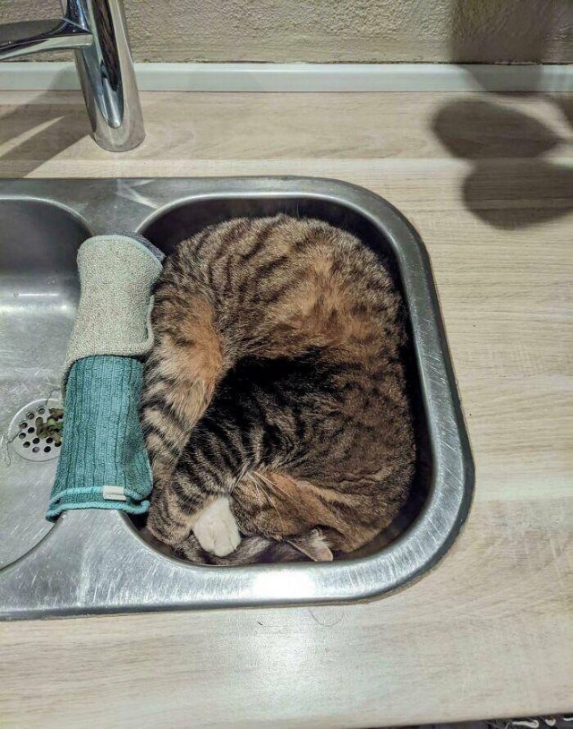 Photos For Perfectionists (35 pics)