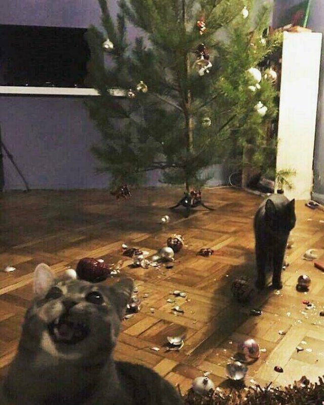 Bad Days Happen (40 pics)
