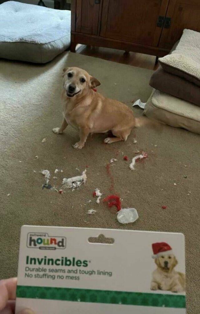 Bad Days Happen (40 pics)