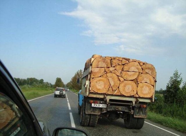 Photos For Perfectionists (35 pics)