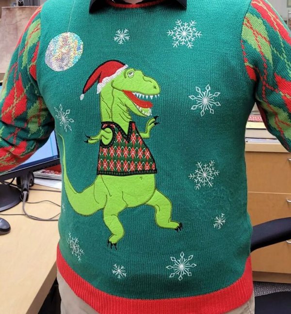 Strange Christmas Sweaters (30 pics)