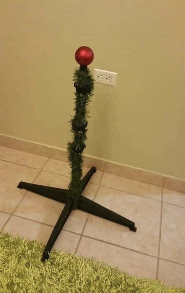 Funny Christmas Photos (43 pics)