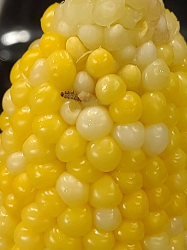 Bad Days Happen (50 pics) Bad Days Happen (50 pics)