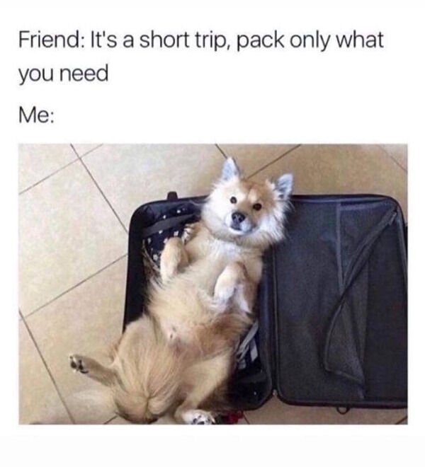 Cute And Funny Dogs (27 pics)