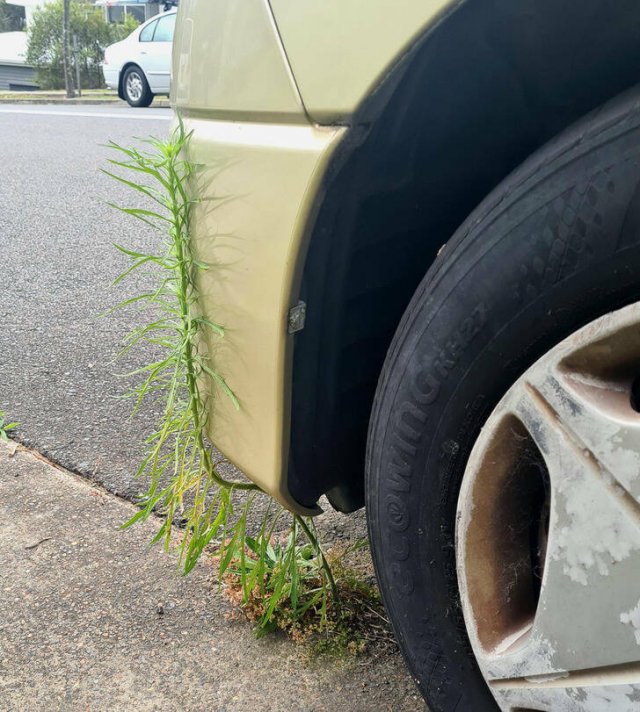 Unusual Finds (27 pics)