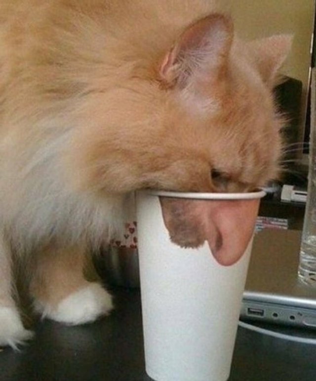 Unusual Finds (27 pics)