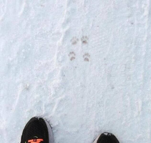 Unusual Finds (27 pics)