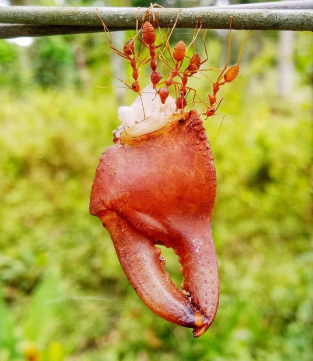 Unusual Finds (27 pics)