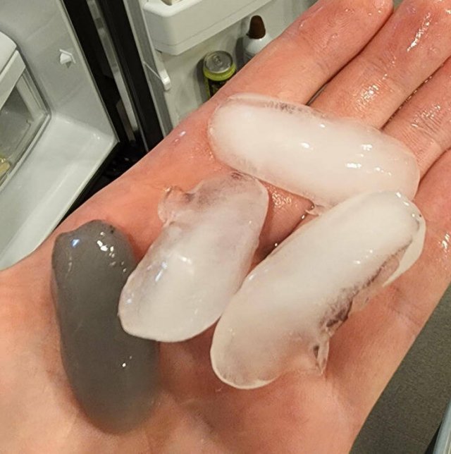 Unusual Finds (27 pics)