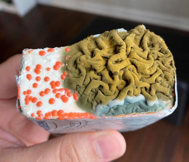 Unusual Finds (27 pics)