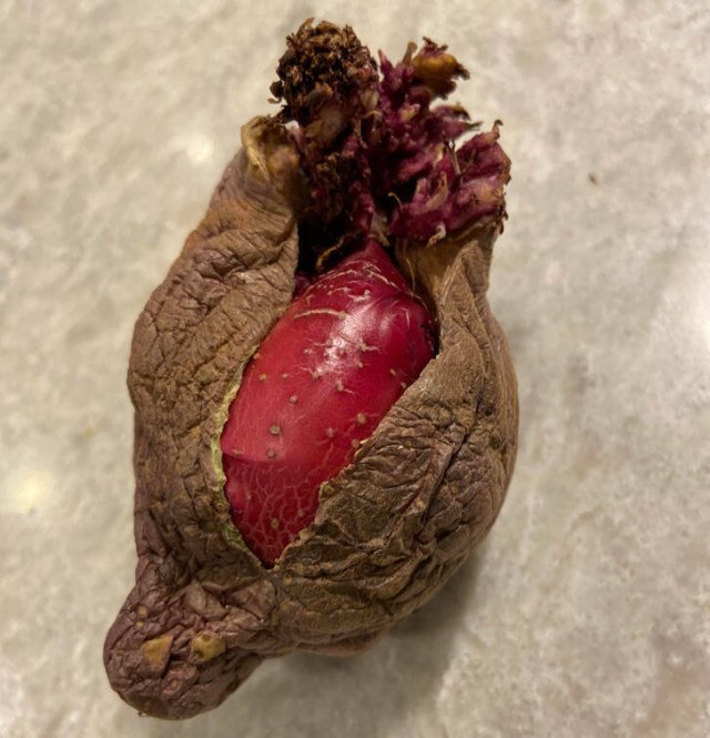Unusual Finds (27 pics)