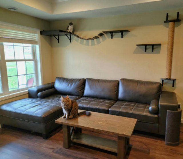 Amazing Home Renovations (18 pics)