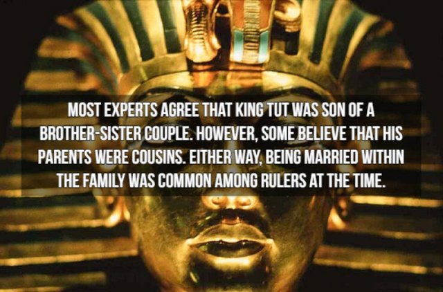 Historical Facts (14 pics)