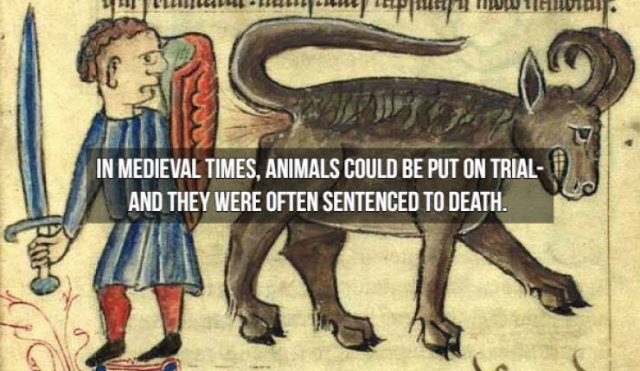 Historical Facts (14 pics)