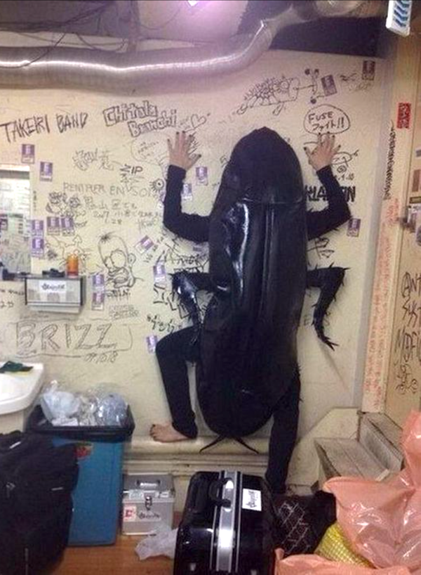 What Is Going On Here? (24 pics)