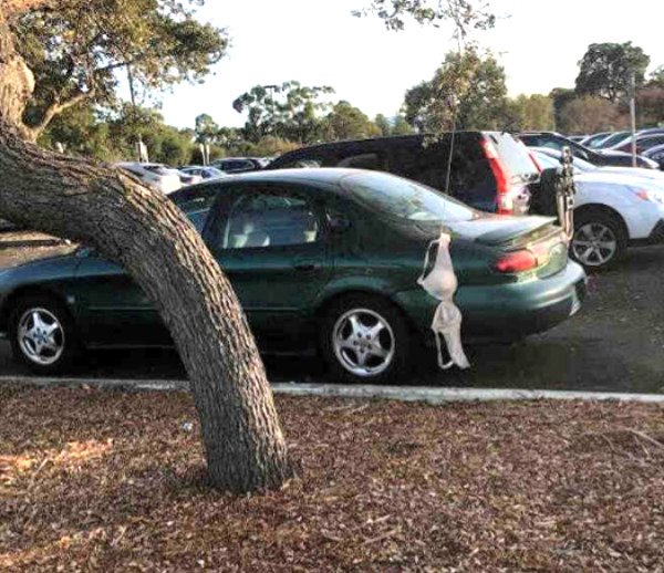 What Is Going On Here? (24 pics)