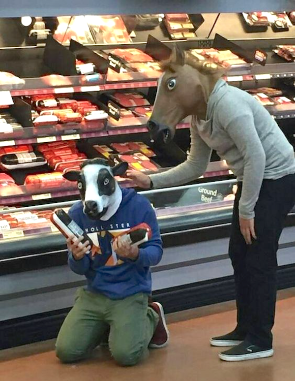 What Is Going On Here? (24 pics)