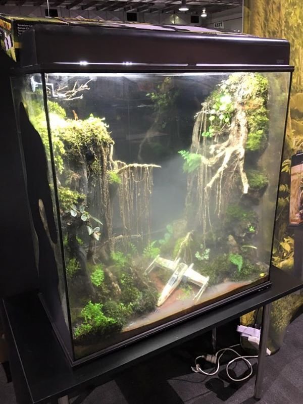 Awesome Designs (37 pics)