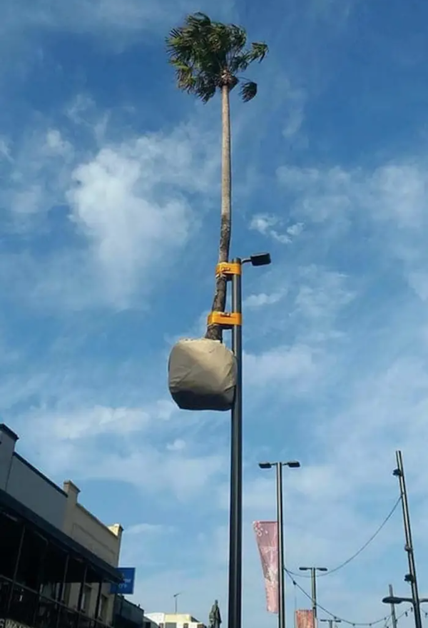 What Is Going On Here? (24 pics)